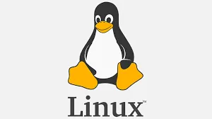 linux image